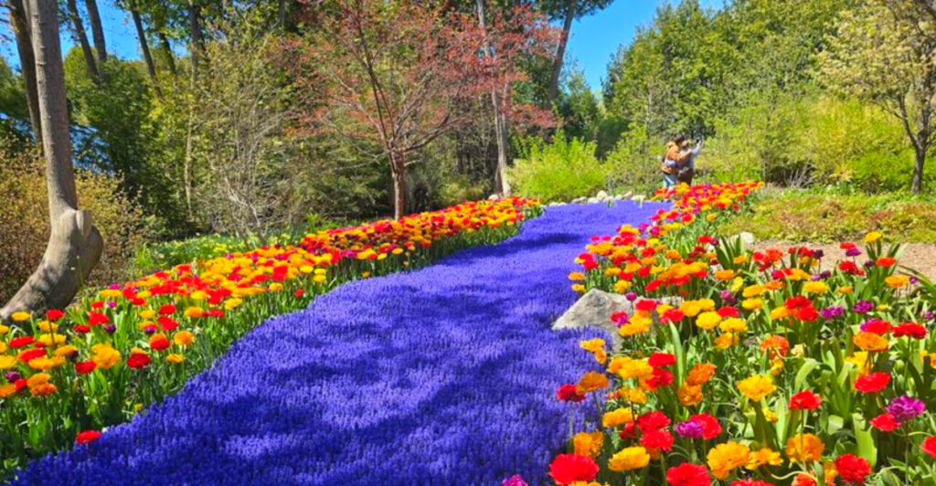 Most Visitors Miss This Hidden Mackinac Island Garden – With 40,000 Blooms and Storybook Paths
