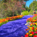 Most Visitors Miss This Hidden Mackinac Island Garden – With 40,000 Blooms and Storybook Paths