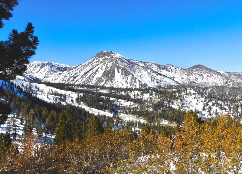 Mount Rose Wilderness and High-Country Solitude