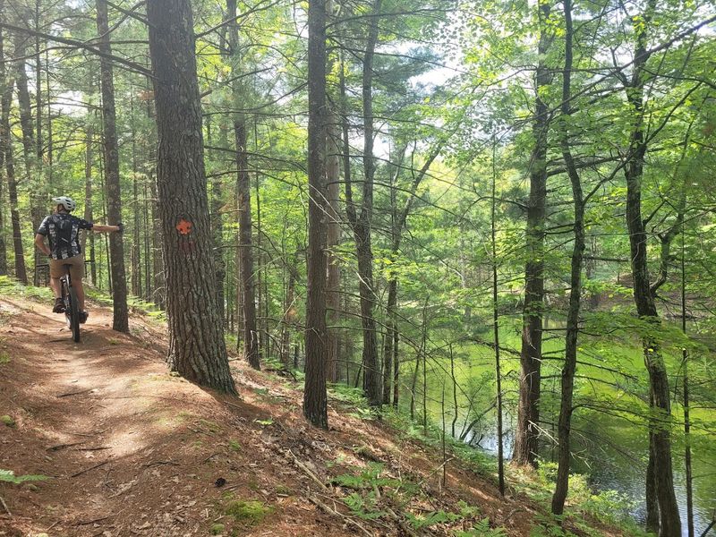 Mountain Biking Trails That Draw Riders From Across the Region