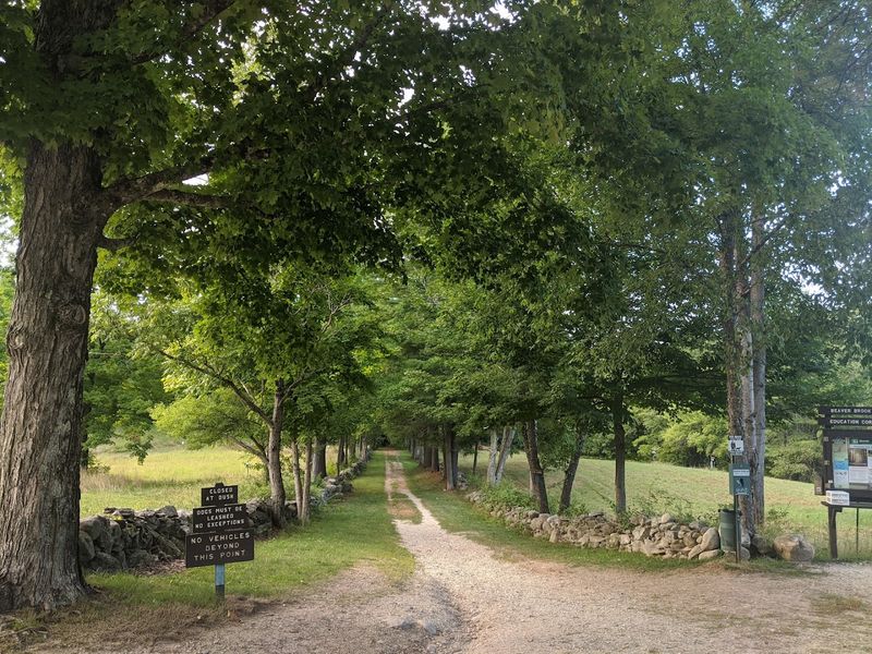 Mountain Biking and Horseback Riding: The Trails Go Beyond Hiking Mountain Biking and Horseback Riding: The Trails Go Beyond Hiking