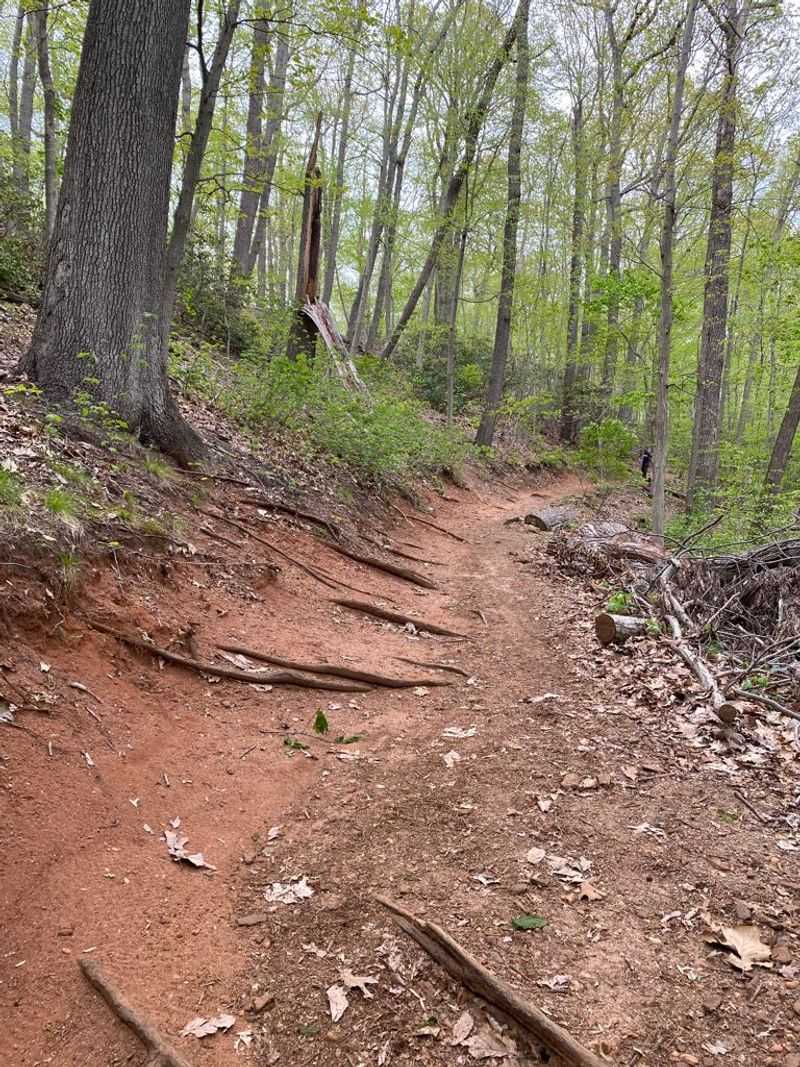 Mountain Biking on Terrain That Demands Respect Mountain Biking on Terrain That Demands Respect
