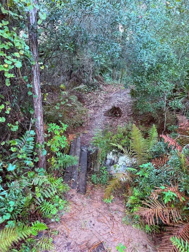 Muddy Conditions and Trail Challenges