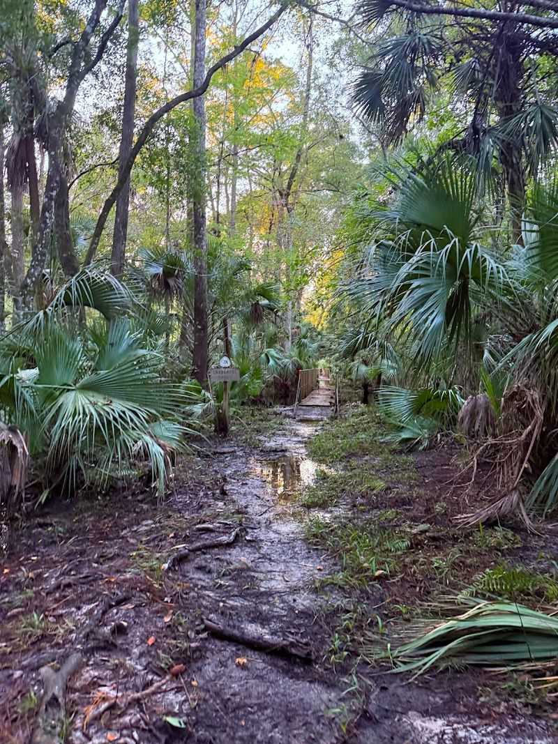 Multiple Ecosystems in a Single Hike
