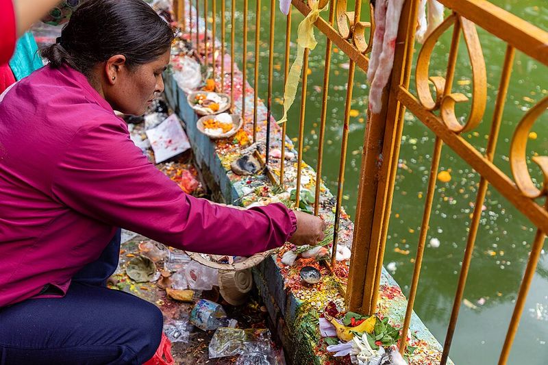 Nag Panchami in India and Nepal