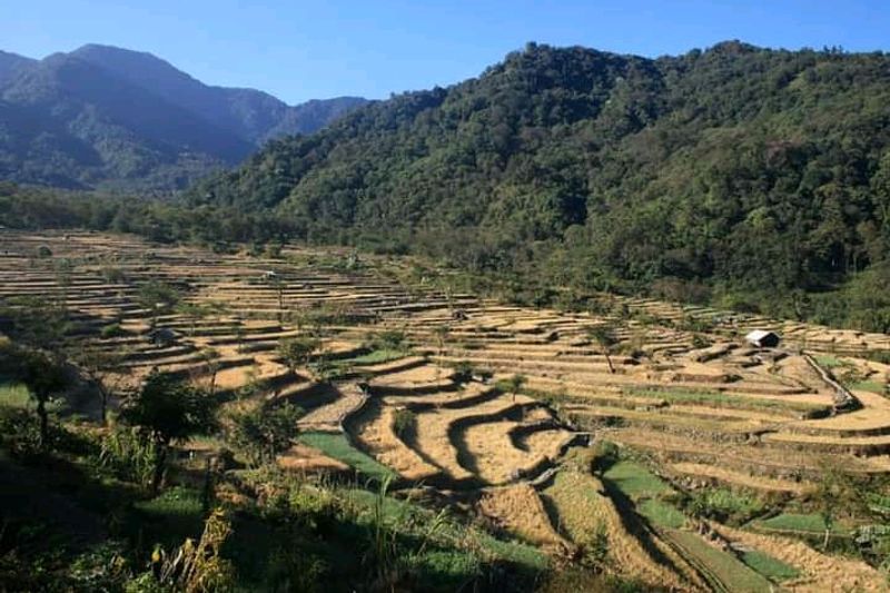 Nagaland Nagaland