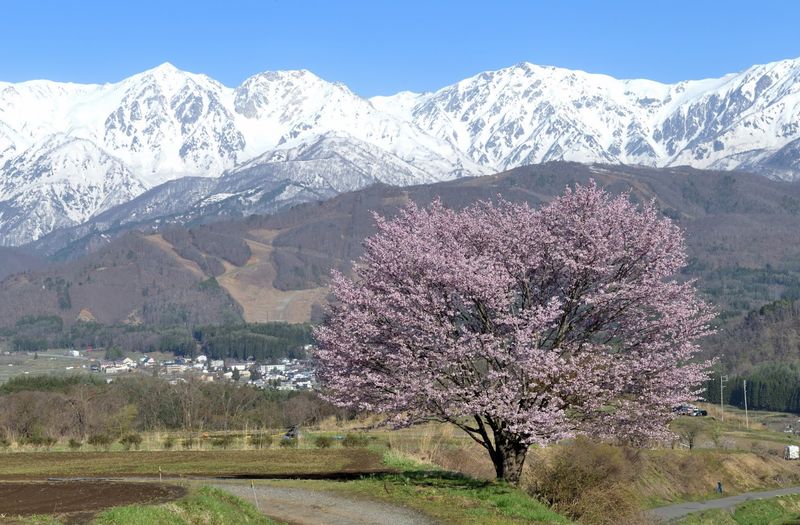 Nagano