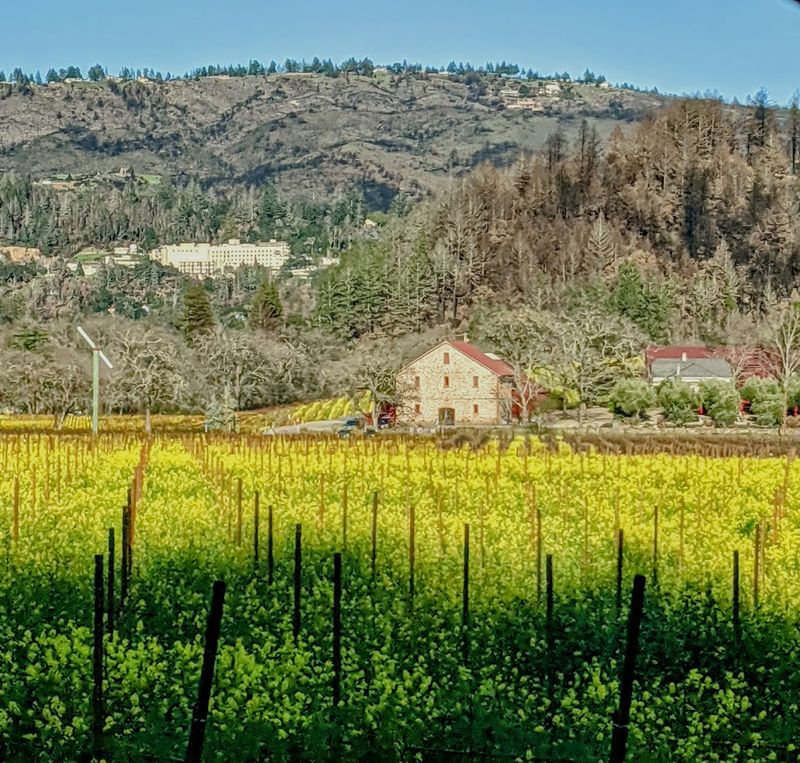 Napa Valley, California Napa Valley, California