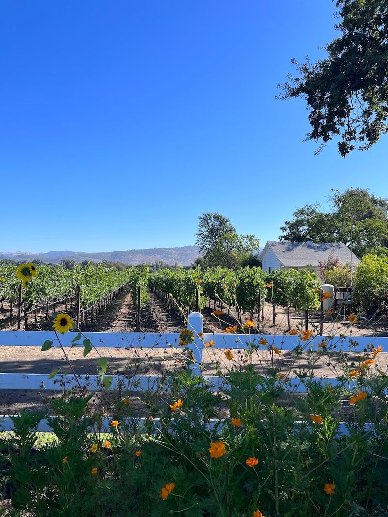 Napa Valley Vine Trail, Napa Valley, California Napa Valley Vine Trail, Napa Valley, California