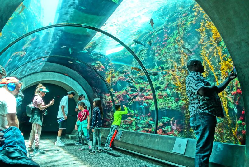 California Science Center - Los Angeles