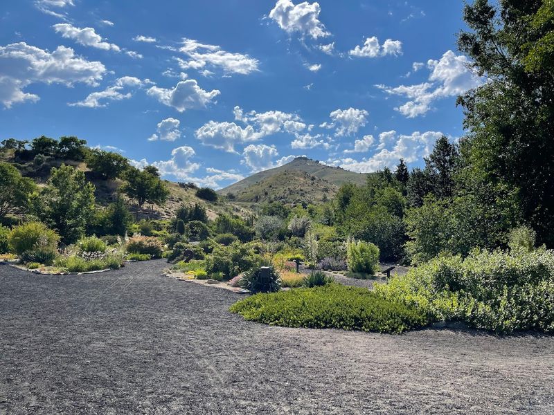 Native Plants That Tell the Story of Idaho's Landscape Native Plants That Tell the Story of Idaho's Landscape