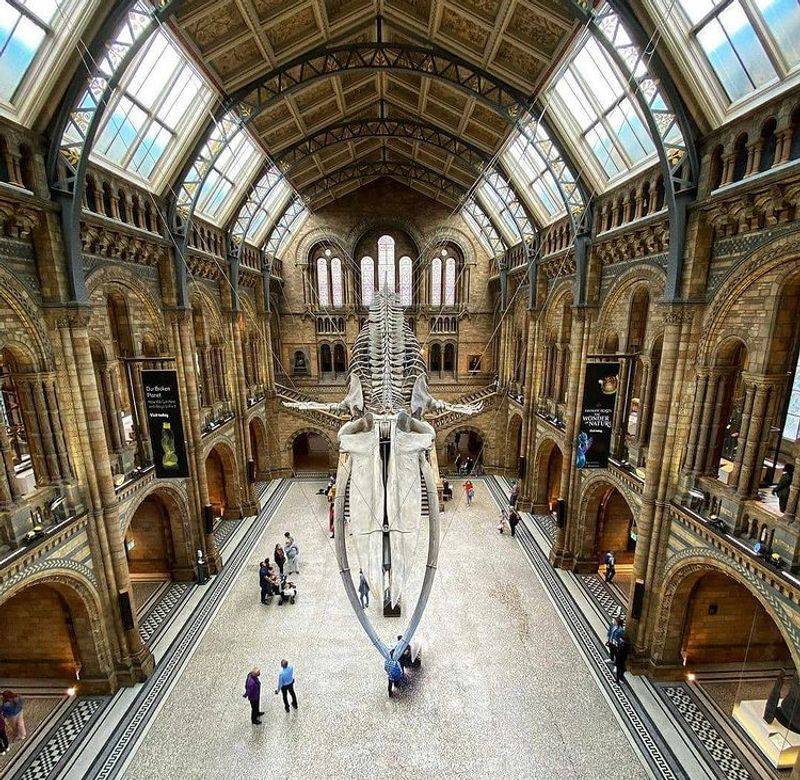 Natural History Museum Natural History Museum