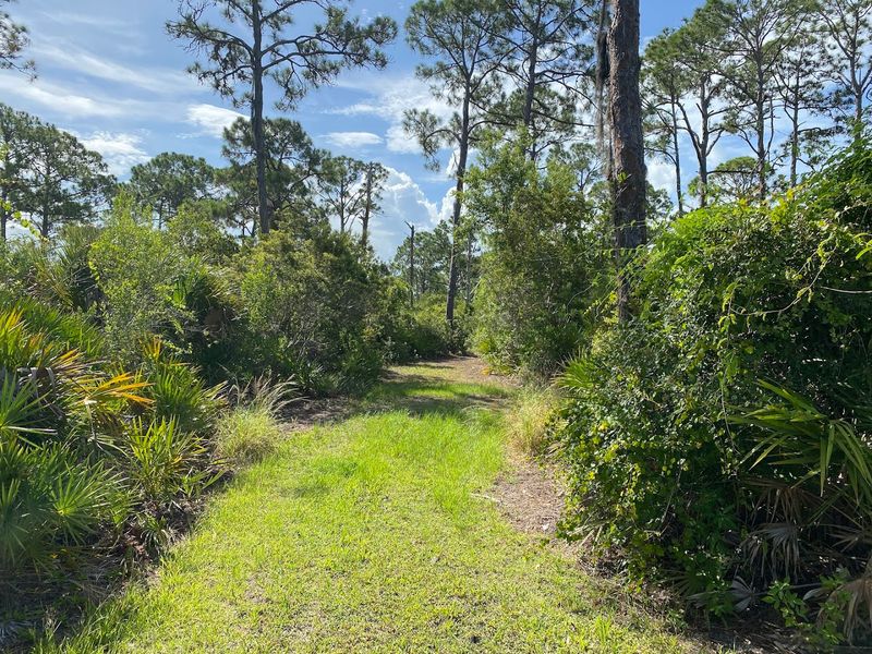 Nature Trails on the Mainland Side