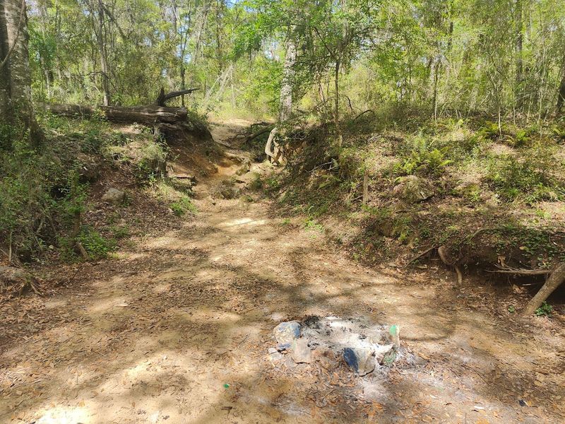 Nearby Trails for Those Who Want More After the Caves