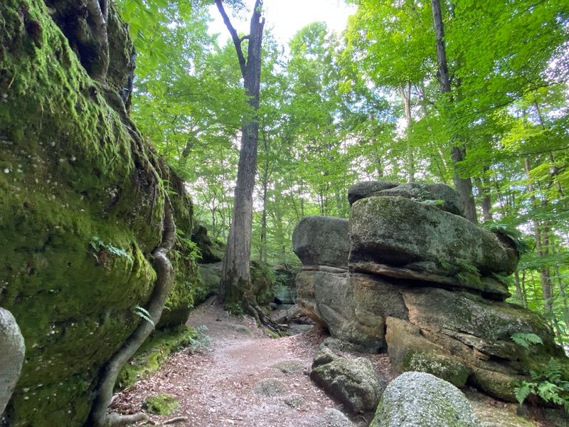 Nelson-Kennedy Ledges State Park in Garrettsville
