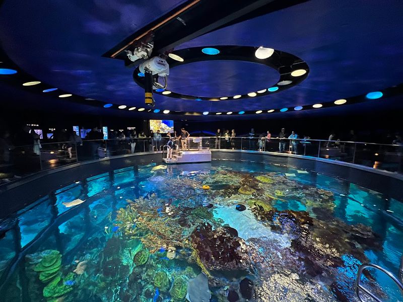 New England Aquarium