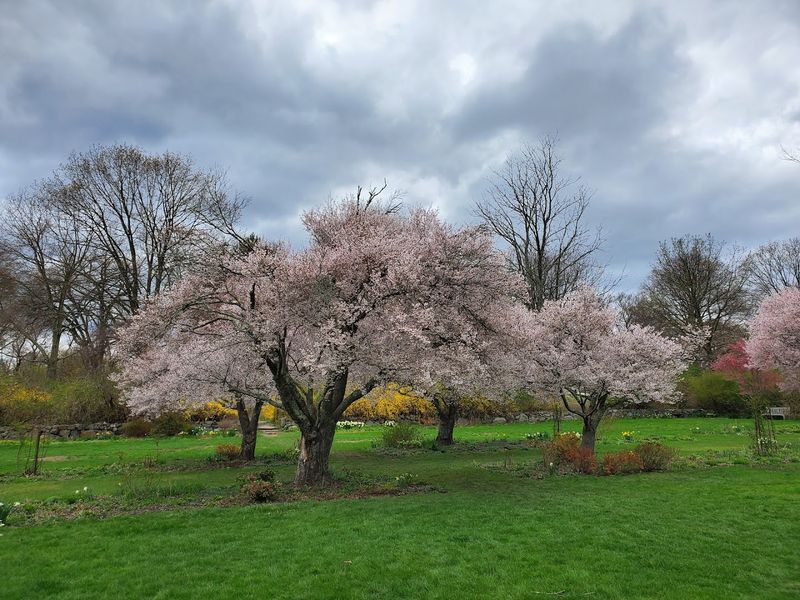 New Jersey Botanical Garden at Skylands - Ringwood, New Jersey