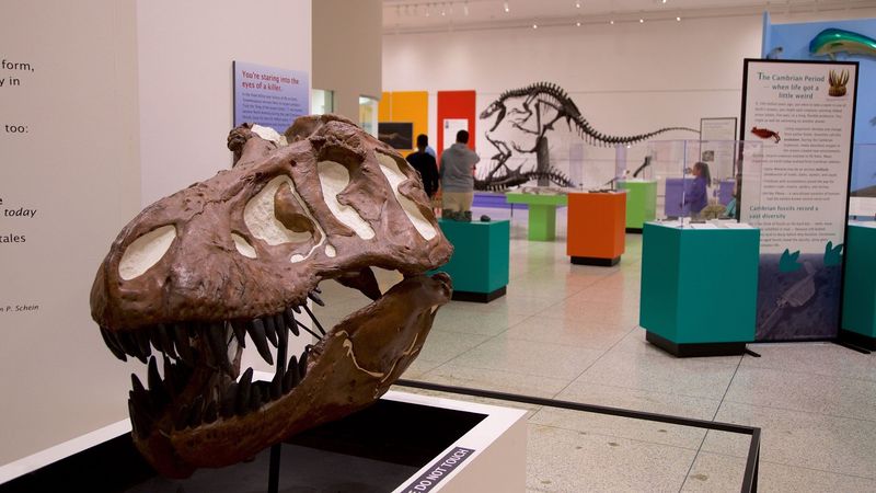 New Jersey State Museum, Trenton, New Jersey