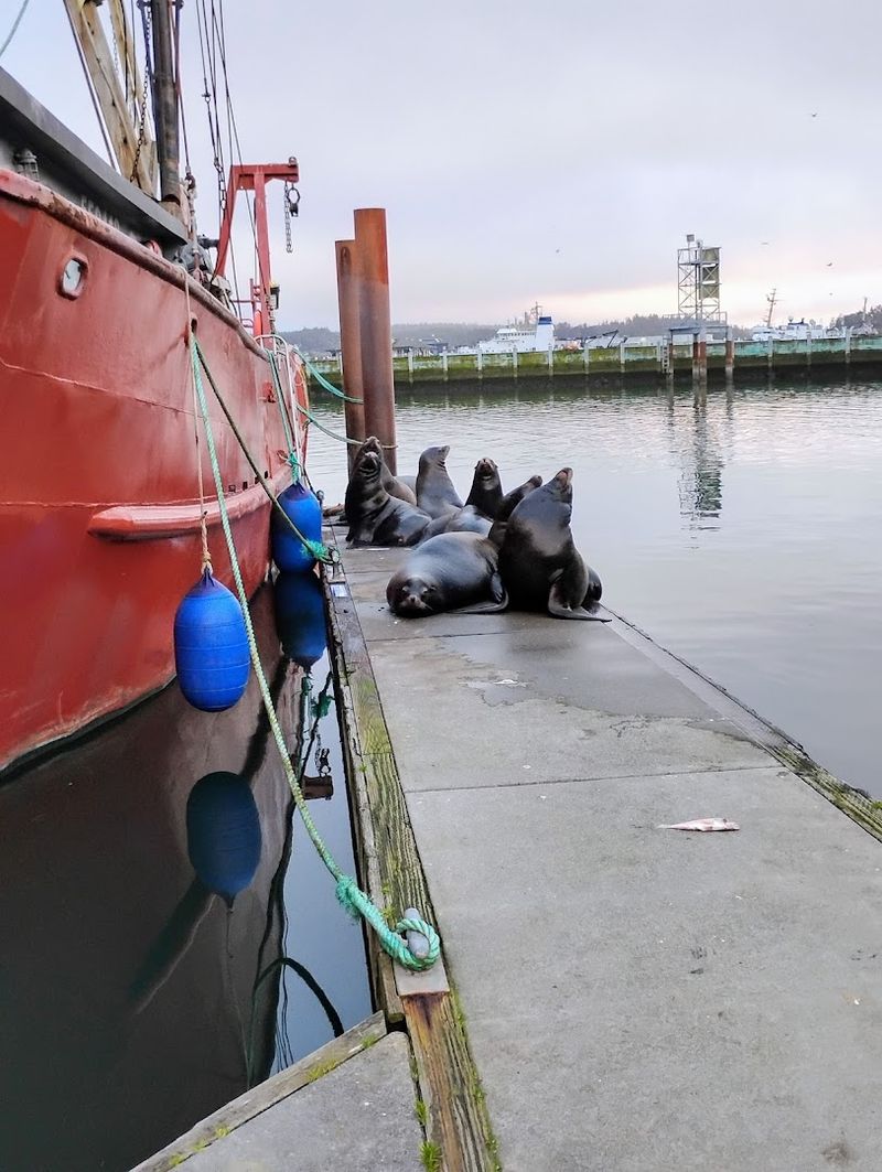 Newport, Oregon — Working Fishing Docks and Coastal Culture Newport, Oregon — Working Fishing Docks and Coastal Culture