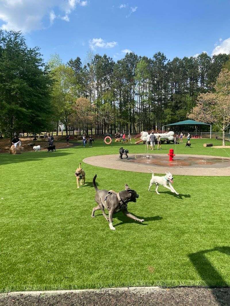 Newtown Dog Park - Johns Creek, Georgia Newtown Dog Park - Johns Creek, Georgia