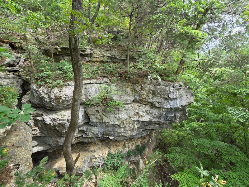 O'Bannon Woods State Park