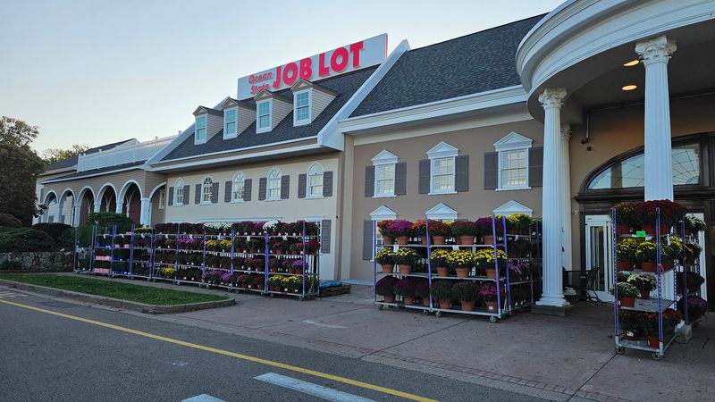 Ocean State Job Lot - 100 Stockwell Dr, Avon