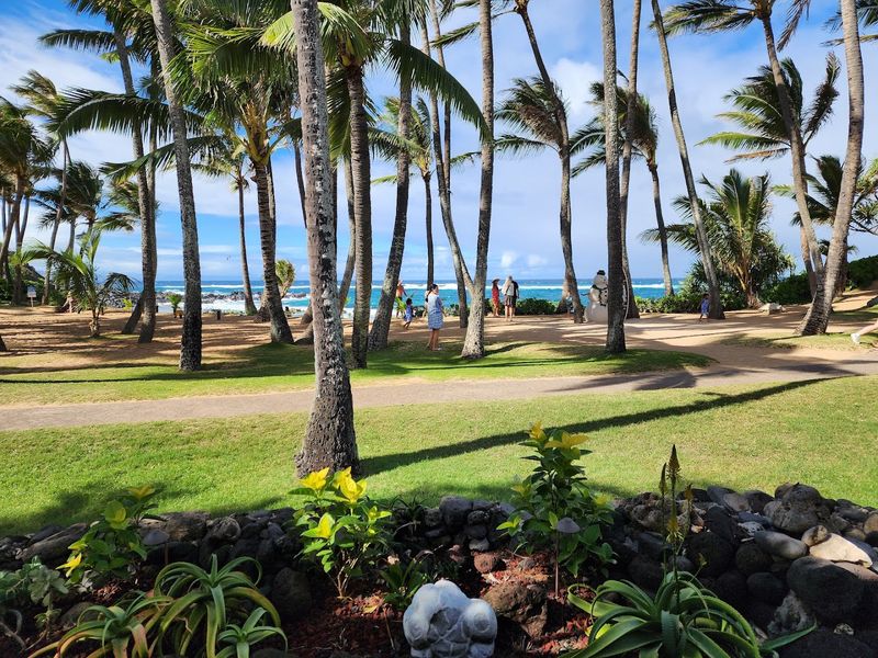 Ocean Views That Make Every Bite Better