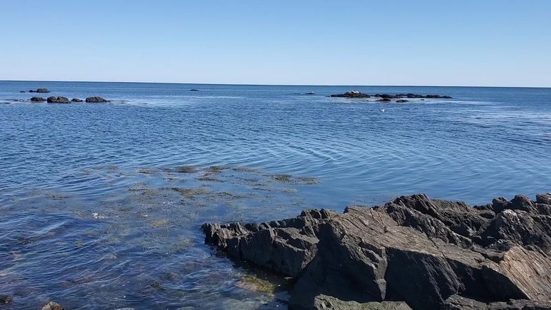 Odiorne Point State Park Odiorne Point State Park