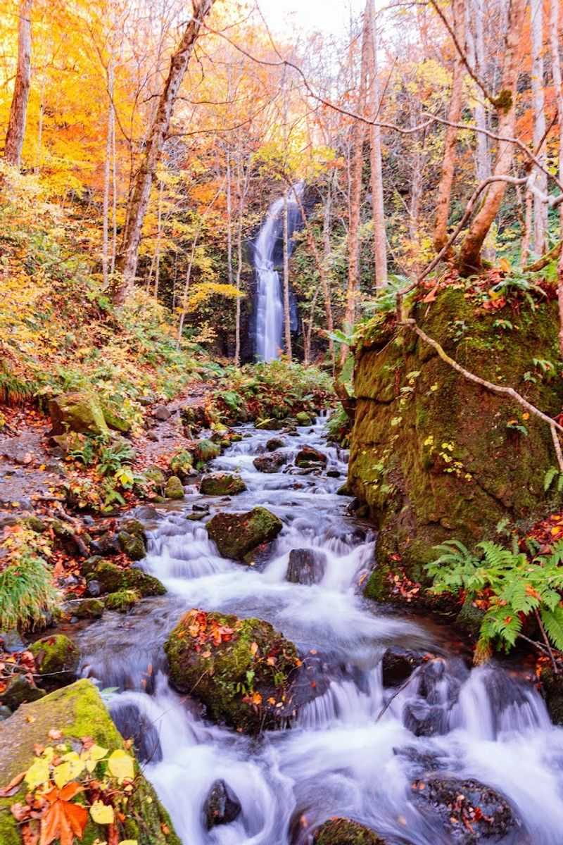 Oirase Gorge, Aomori