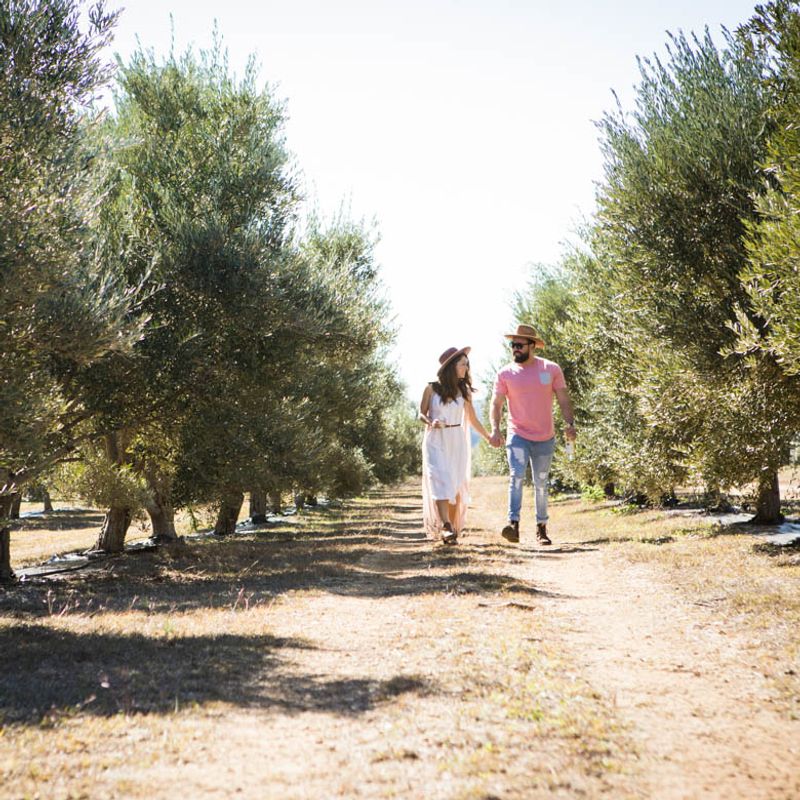Orchard Tours That Teach You Something Real Orchard Tours That Teach You Something Real