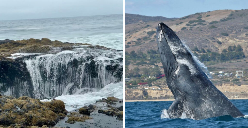 Oregon’s Charming Oceanfront Community Is Famous for Whale Watching, Coastal Hiking, and Natural Wonders