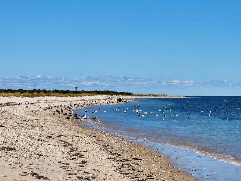 Orient Beach State Park, Orient, New York Orient Beach State Park, Orient, New York