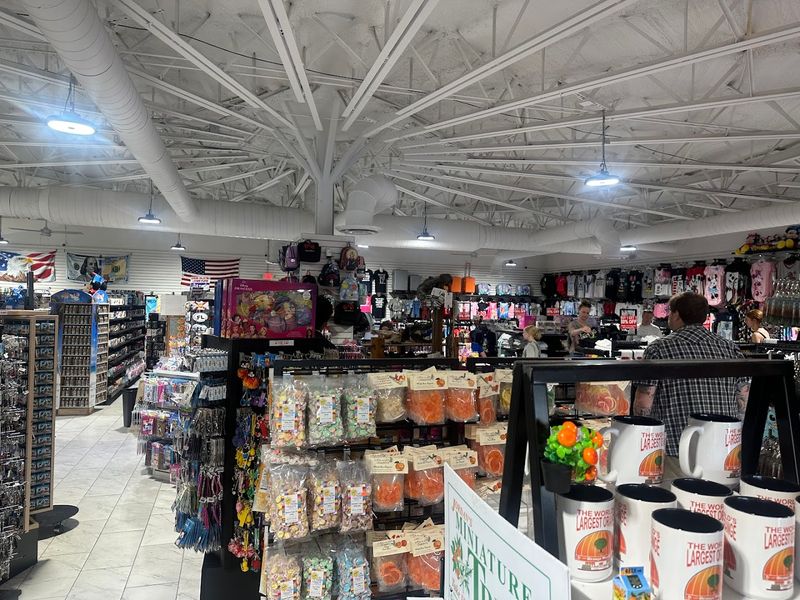 Orlando and Theme Park Souvenirs Under One Roof Orlando and Theme Park Souvenirs Under One Roof