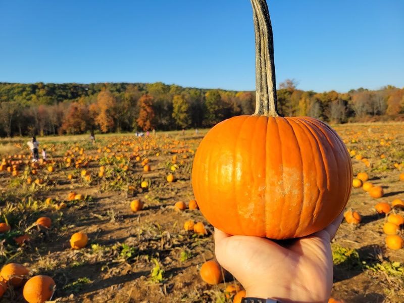 Ort Farms, Long Valley, New Jersey
