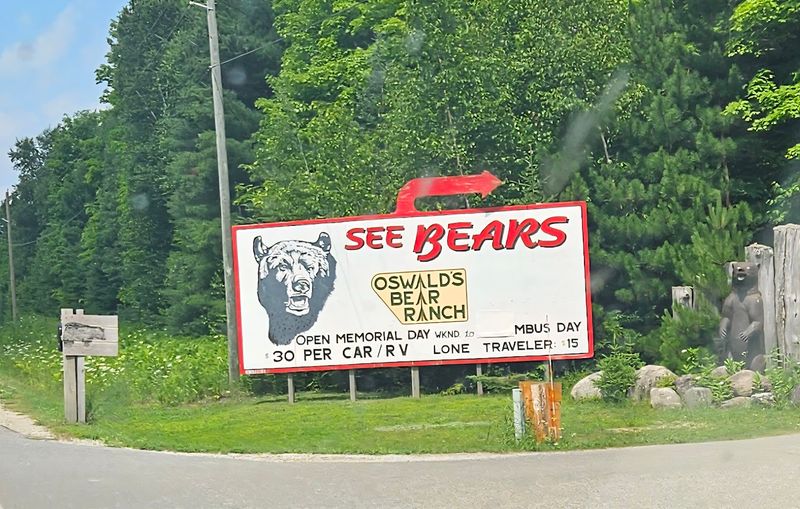 Oswald's Bear Ranch: Just Seven Minutes Down the Road