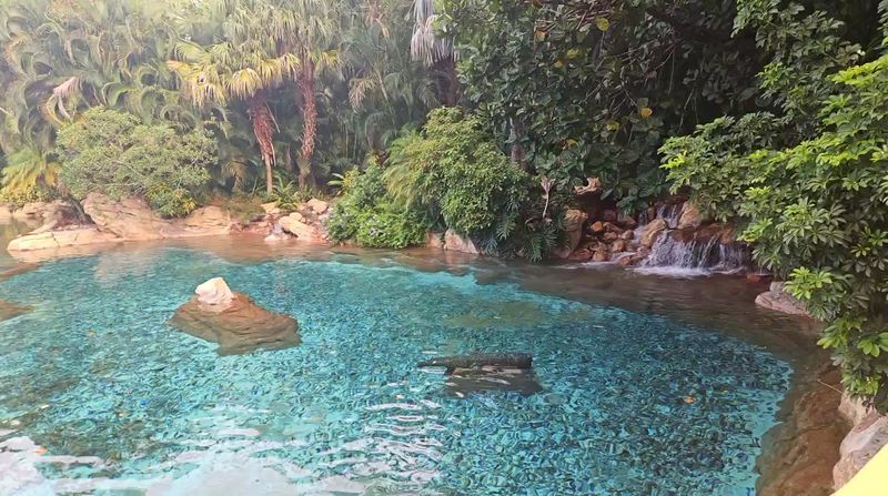 Private Cabanas and Upgraded Experiences