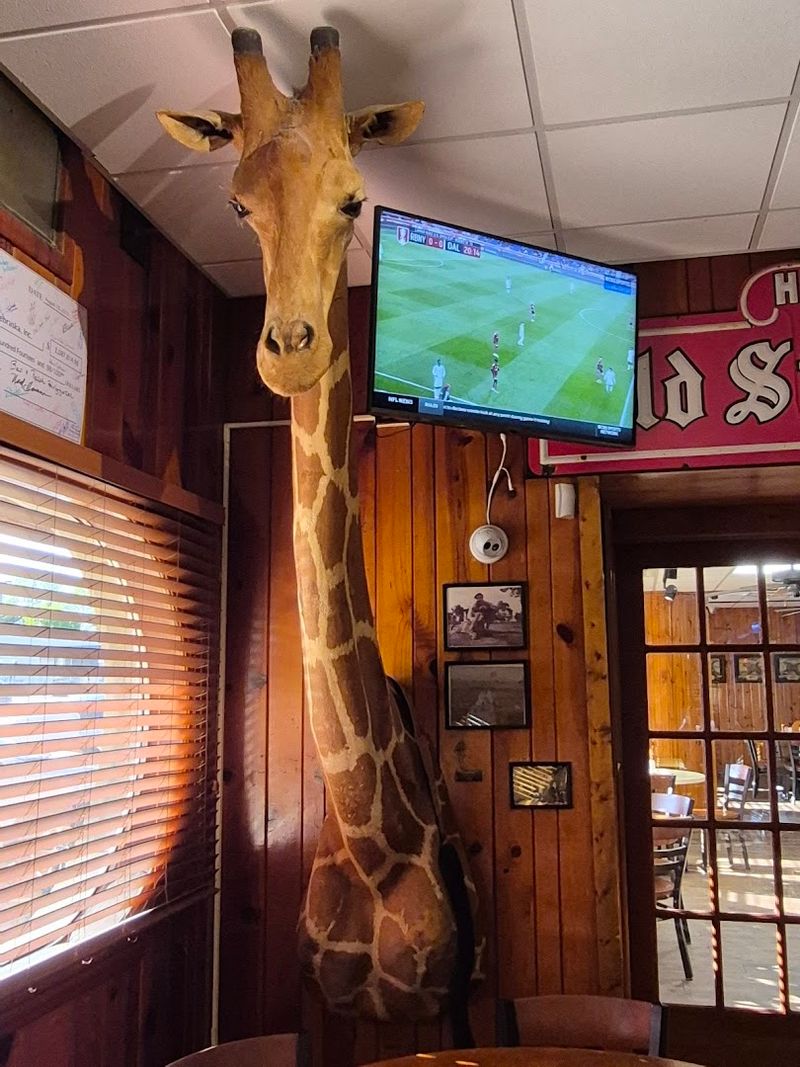 Over 200 Animals Watching You Eat Over 200 Animals Watching You Eat