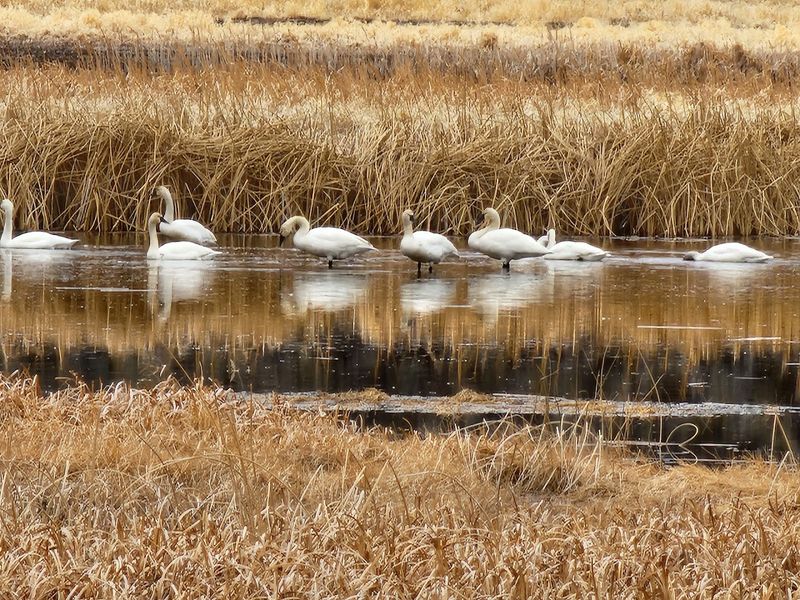 Over 320 Bird Species: What You Can Actually Expect to See Over 320 Bird Species: What You Can Actually Expect to See
