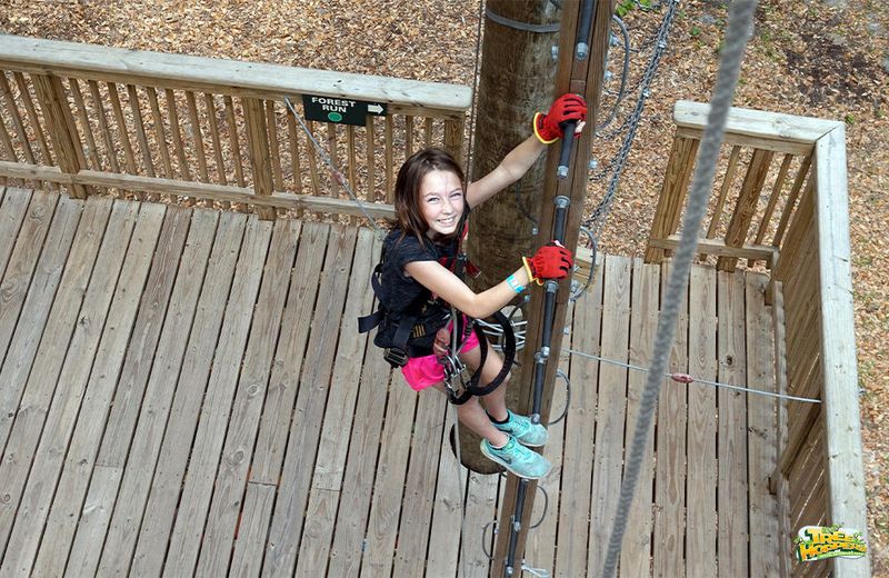 Overcoming a Fear of Heights in the Treetops