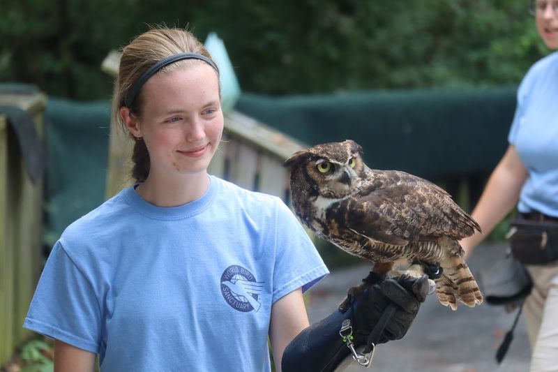 Owls That Will Absolutely Win Your Heart Owls That Will Absolutely Win Your Heart