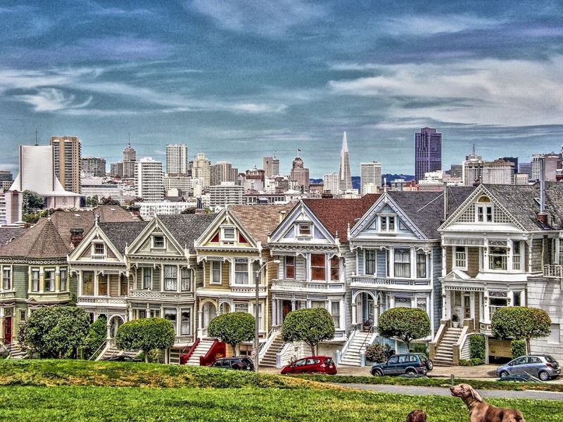 Painted Ladies
