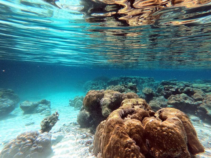 Palau Palau