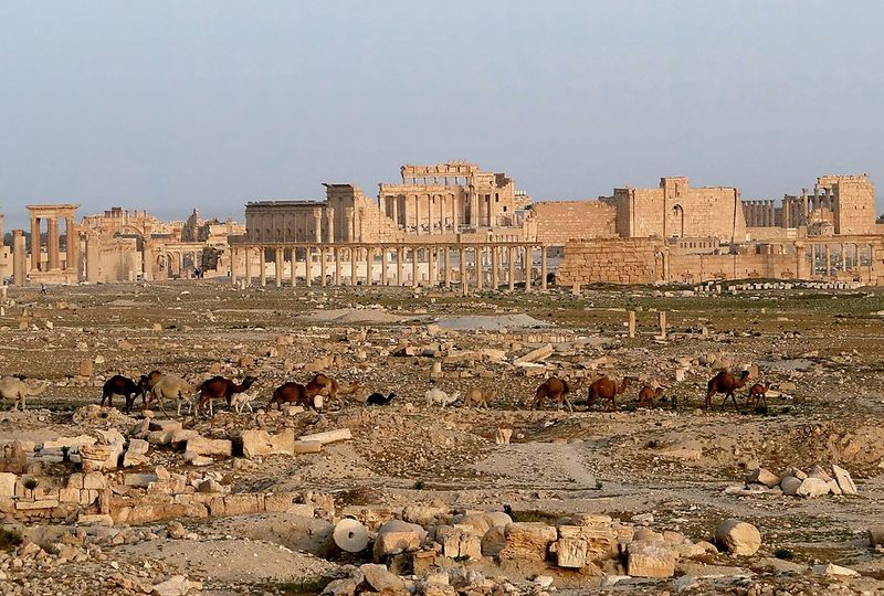 Palmyra (Syria)