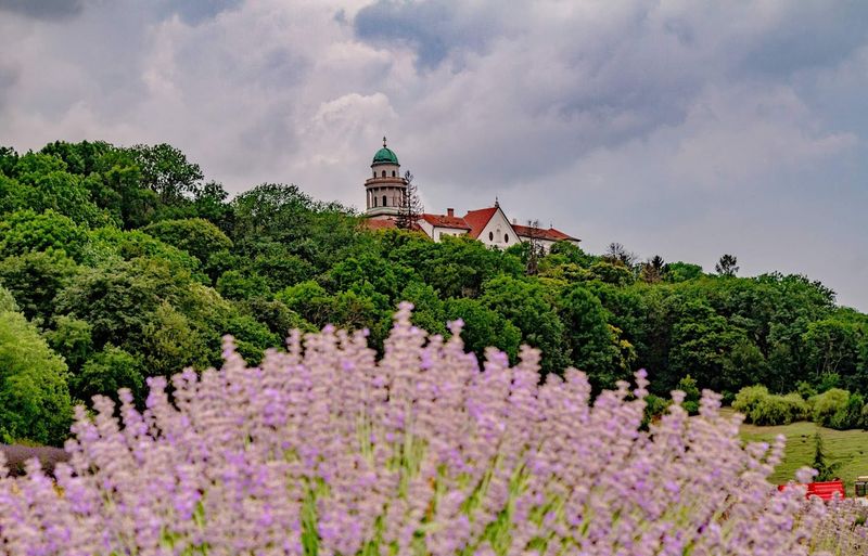 Pannonhalma - Western Hungary