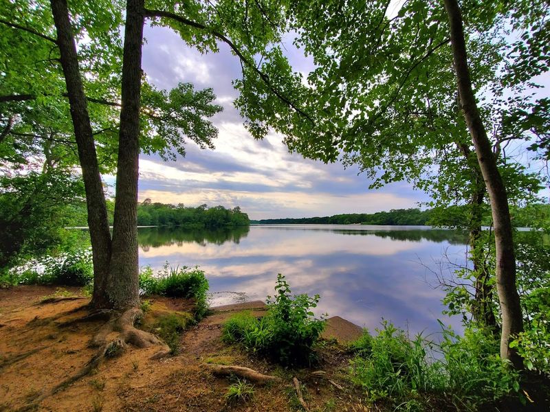 Parvin Lake, Pittsgrove, New Jersey Parvin Lake, Pittsgrove, New Jersey