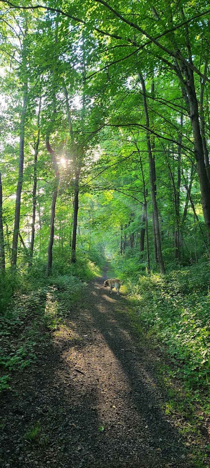 Paulinskill Valley Trail