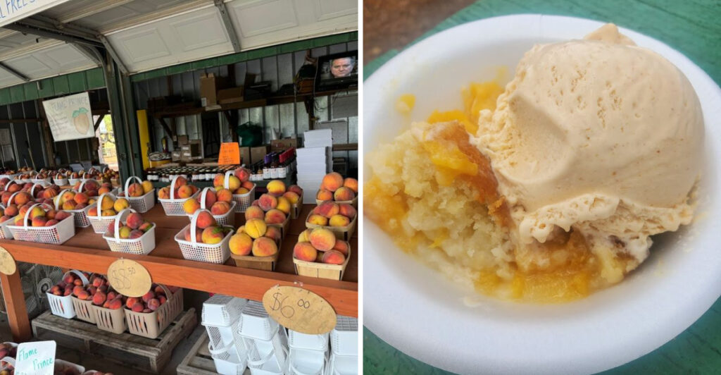 Peach Ice Cream Lovers Are Flocking to This North Carolina Roadside Stand All Summer Long