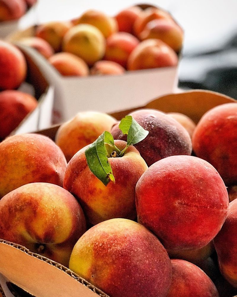 Peaches So Good They Are Worth the Drive Peaches So Good They Are Worth the Drive