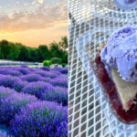 People Drive Out To This Wisconsin Farm For A Slice Of Cherry Pie with Lavender Ice Cream
