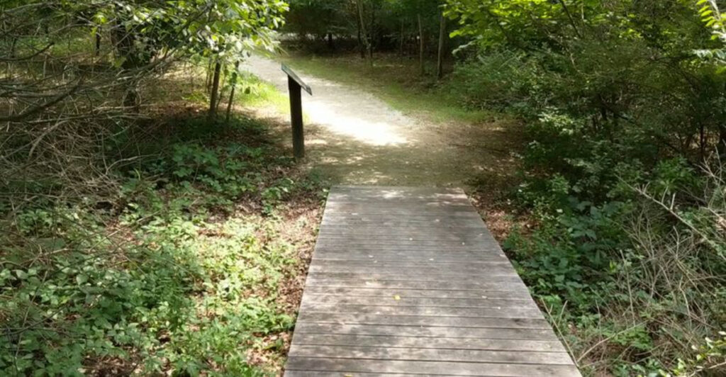 People Drive Right Past This New Jersey Creek Road Entrance Without Realizing What’s Hidden Behind It